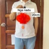 20cm đẹp