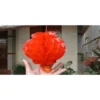 20cm - cực dày