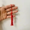 Tua đỏ bé